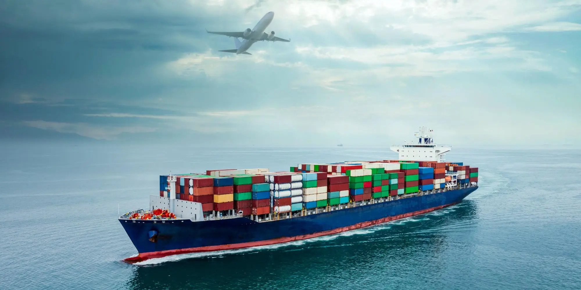 customs services